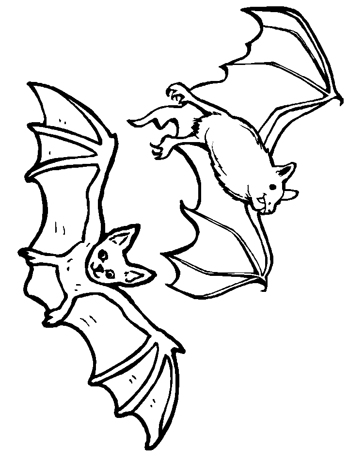 Two New Bats Coloring Coloring Page
