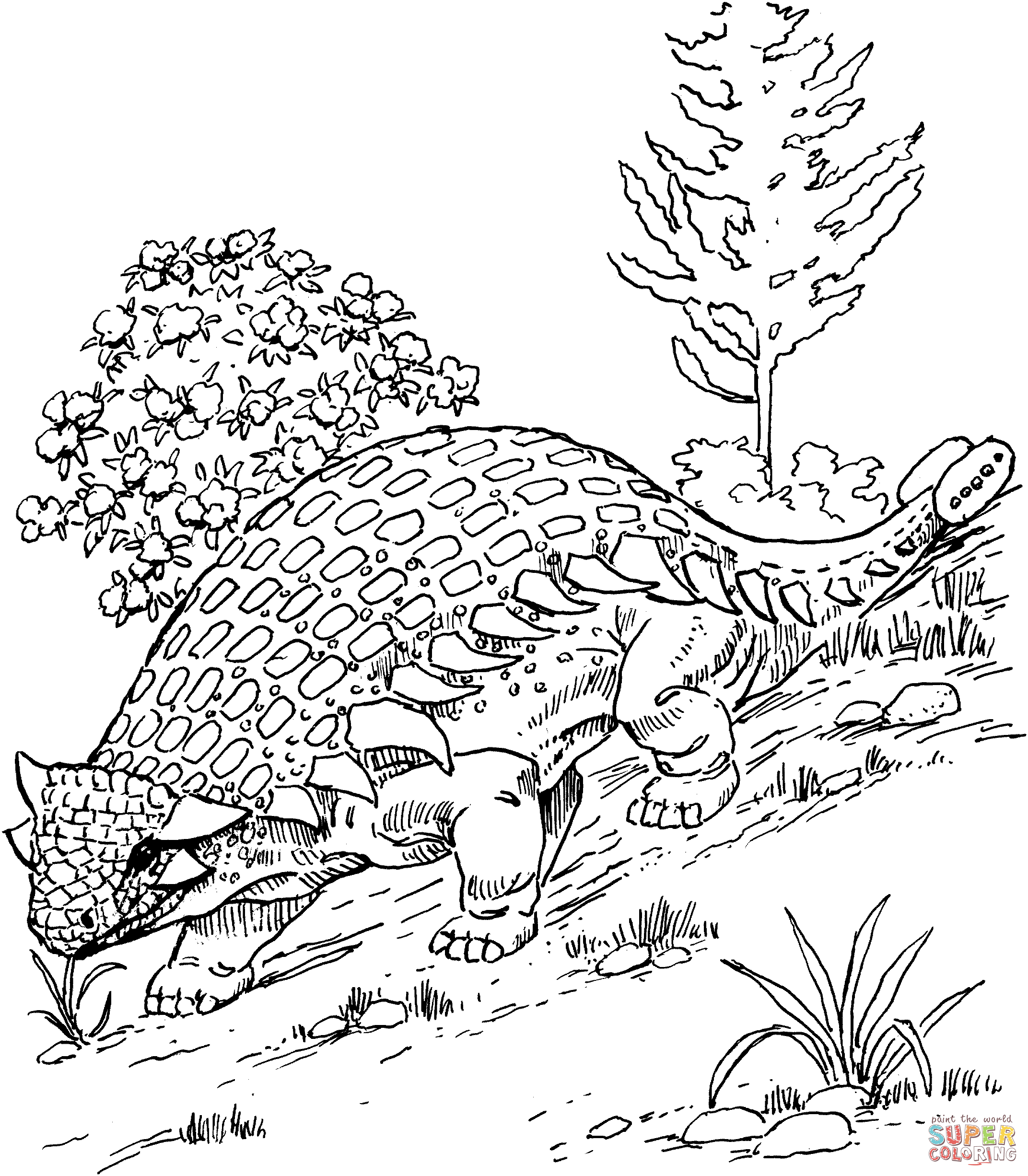 Ankylosaurus Coloring Page
