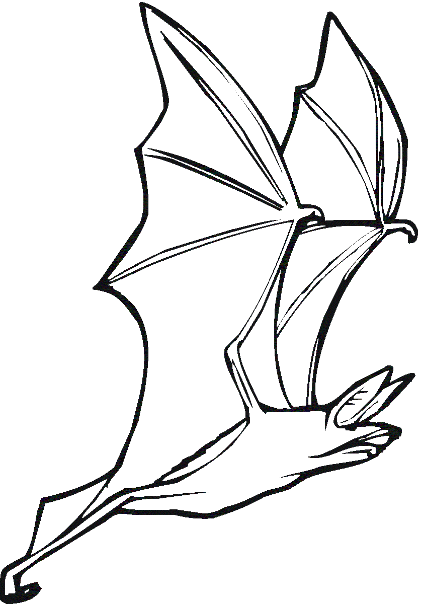 Bat And Long Wings Coloring Page