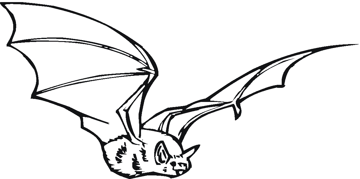 Bat And Nice Wings Coloring Page