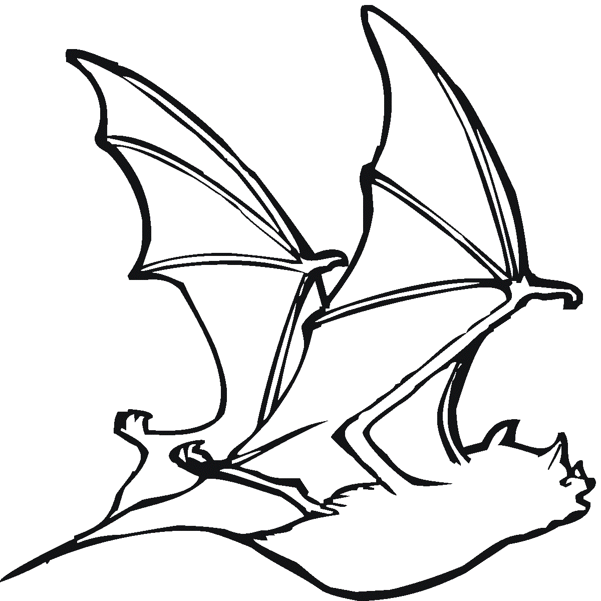 Bat With Long Wings Coloring Page