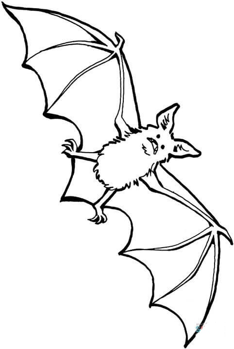 Bat For Us Coloring Page