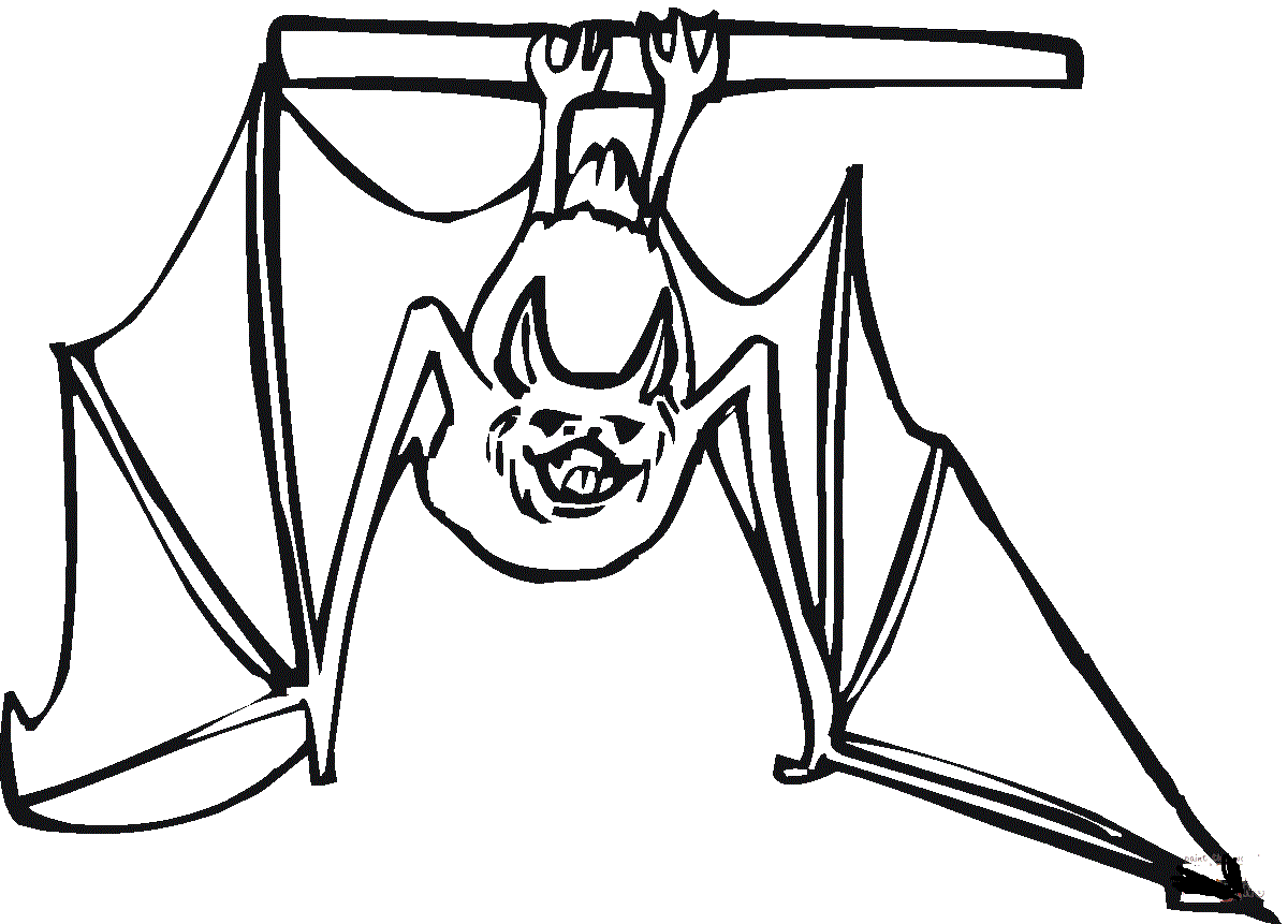 Bat Is perched