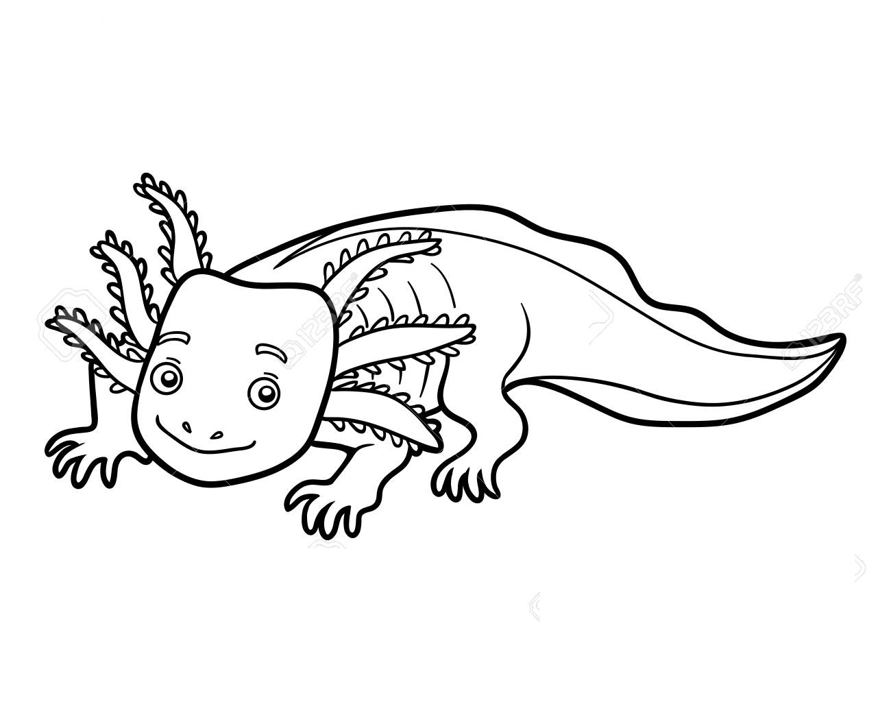 Coloring Page Axolotl