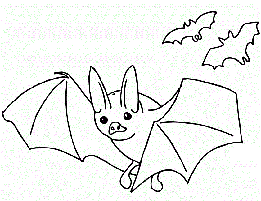 Bat Flying For Kids Coloring Page