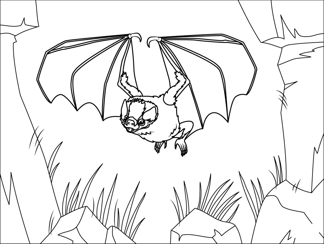 Hairy Legged Vampire Bat For Kids Coloring Page
