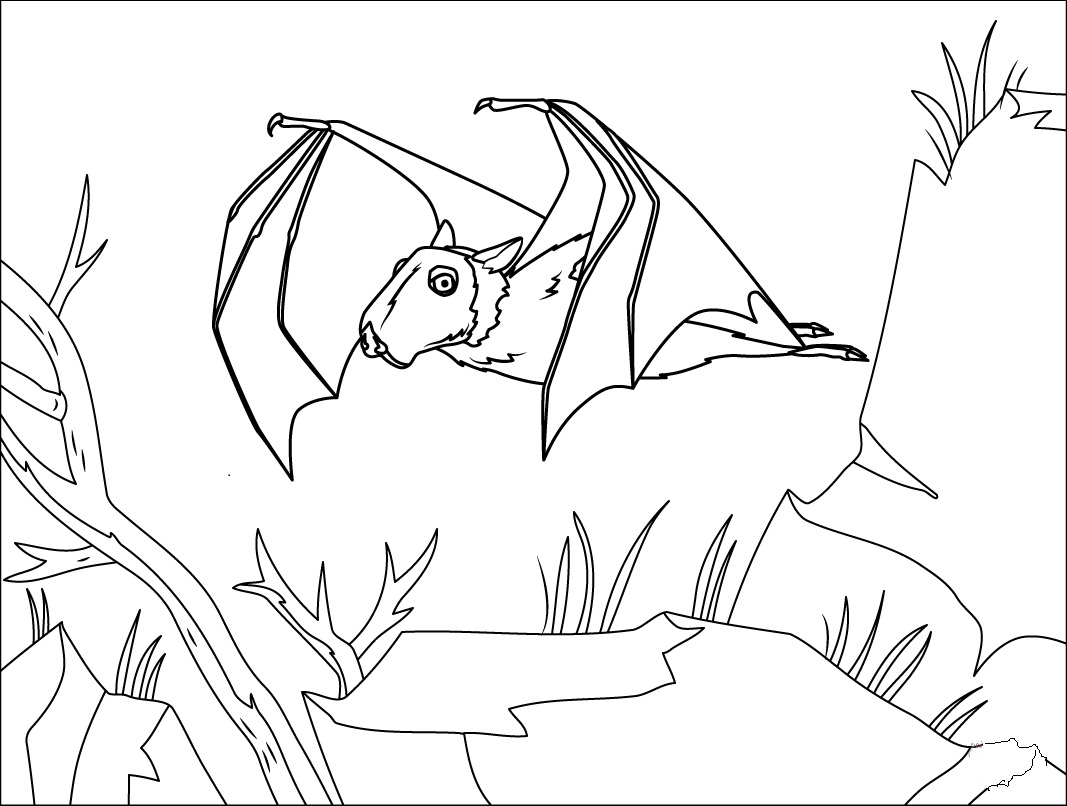 Hammer Headed Bat For Kids Coloring Page