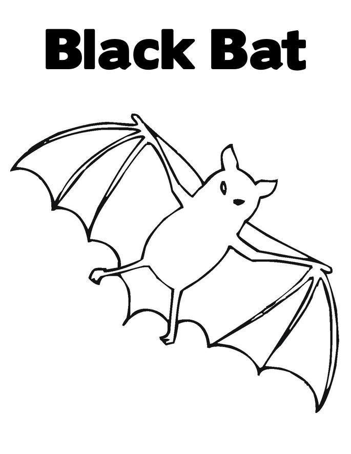 Nice Baby Bat Coloring Page