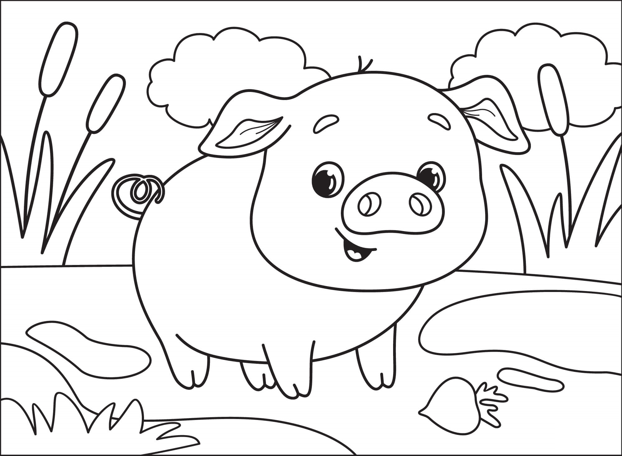 Nice Baby Pig Coloring Page For Us
