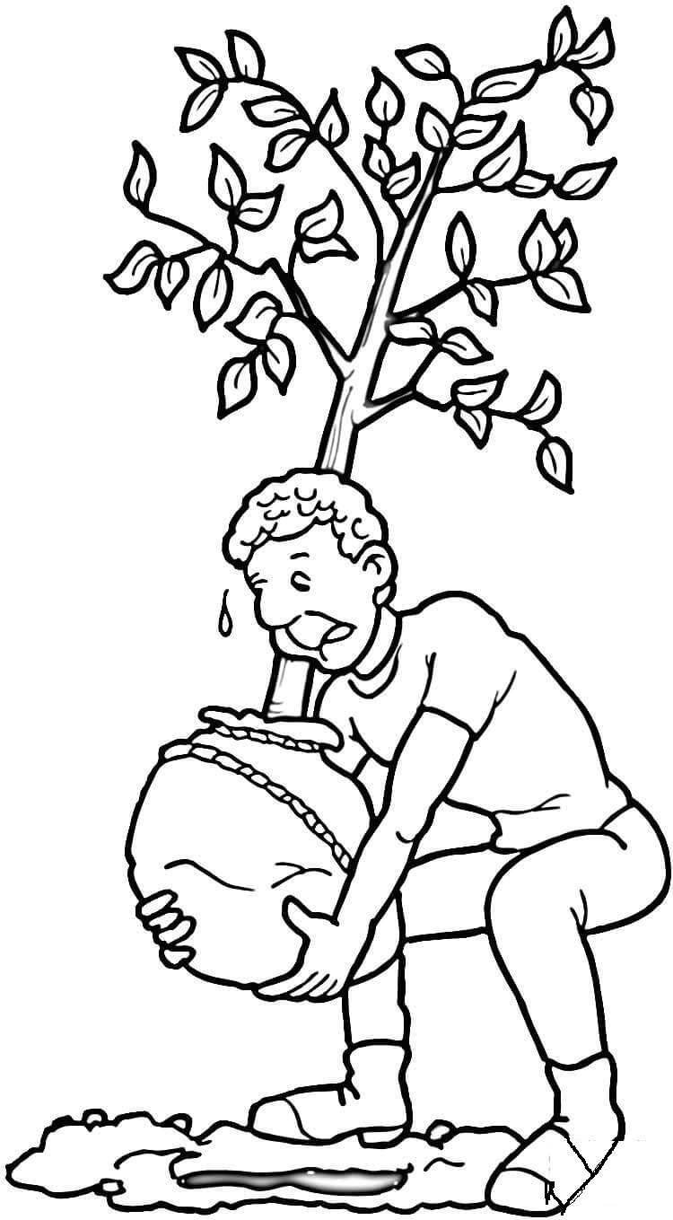 Planting A Tree Avocado Tree Coloring Page Coloring Page