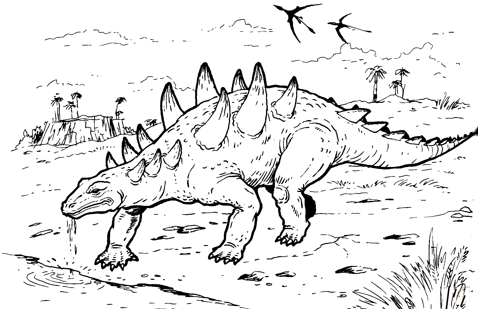 Polakantus Dinosaur Ankylosaurus Coloring Page