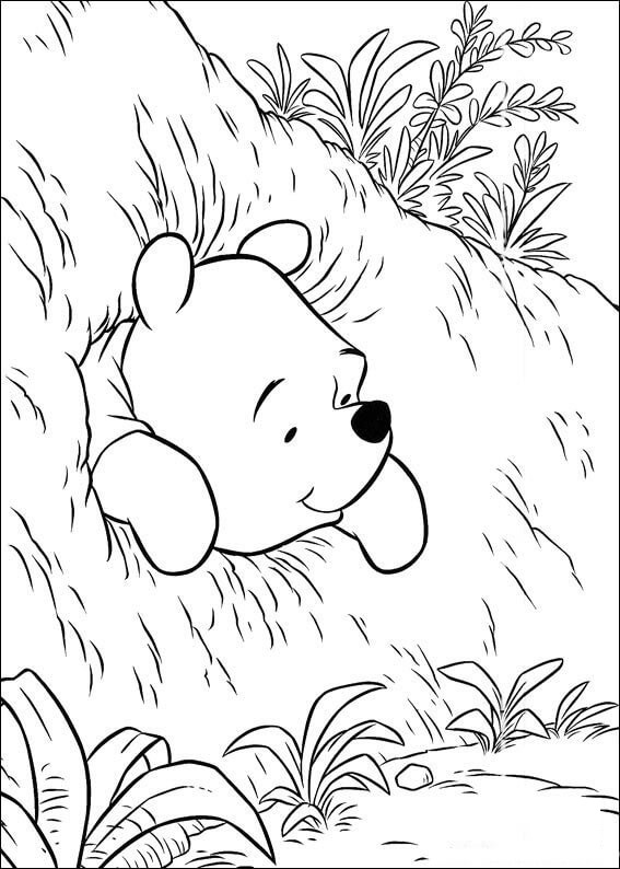 Baby Winnie The Pooh Is In The Hole Coloring Page