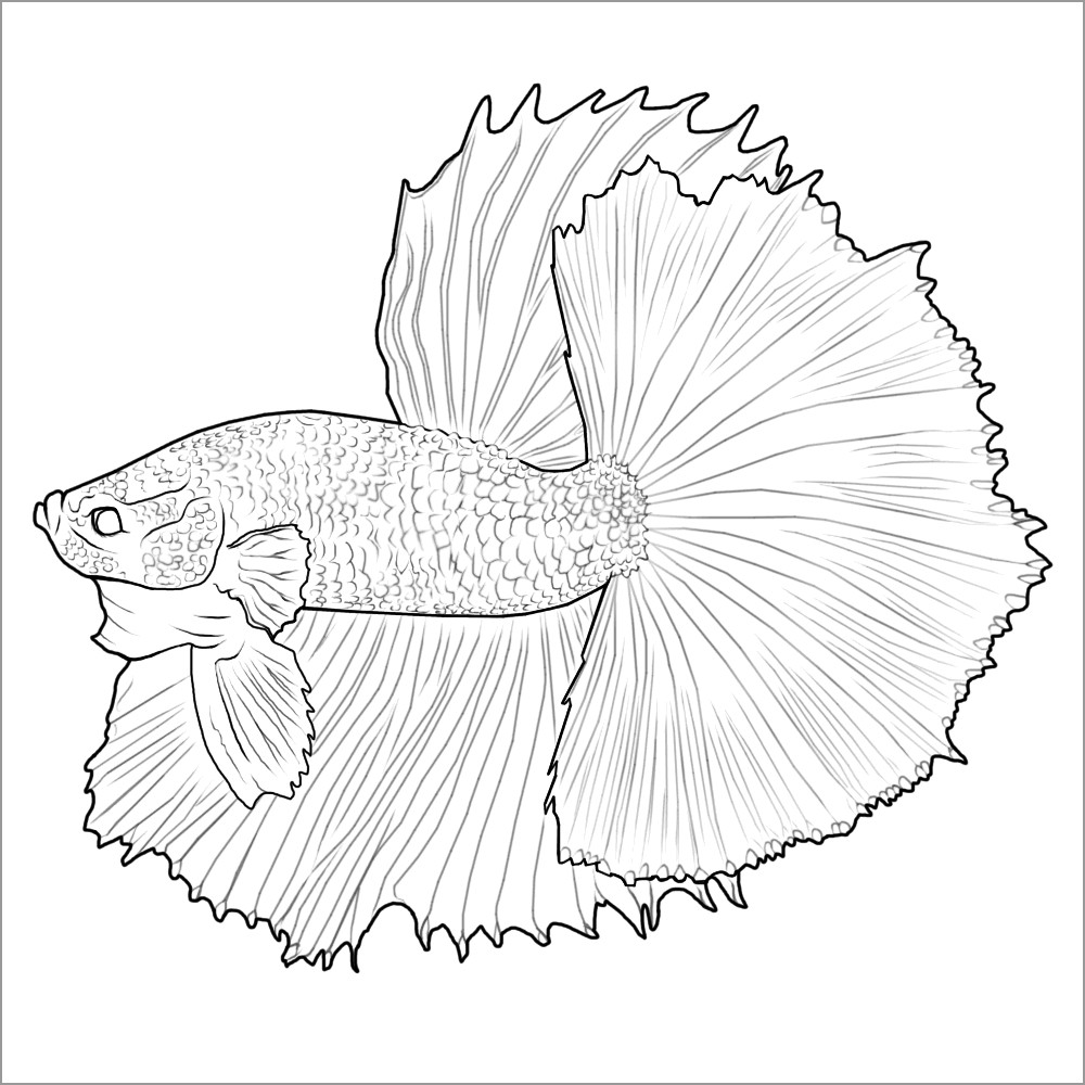 Printable Betta Fish