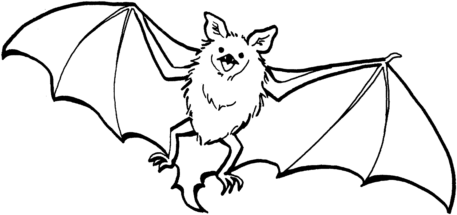 Printable Fly Bat Coloring Pages Coloring Page