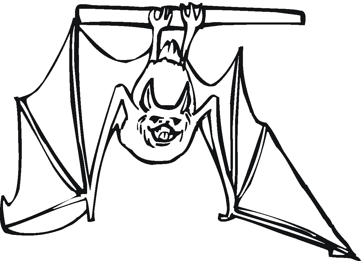 Flying Bat Coloring Page Coloring Page