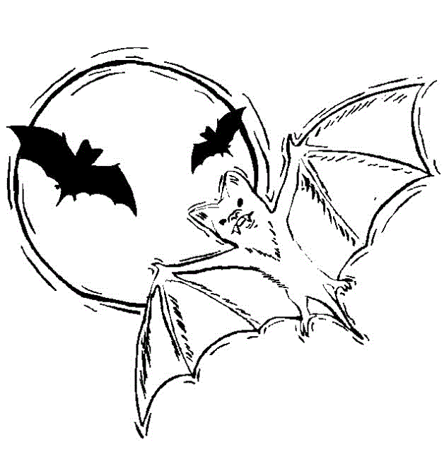 Free Bat Coloring Coloring Page