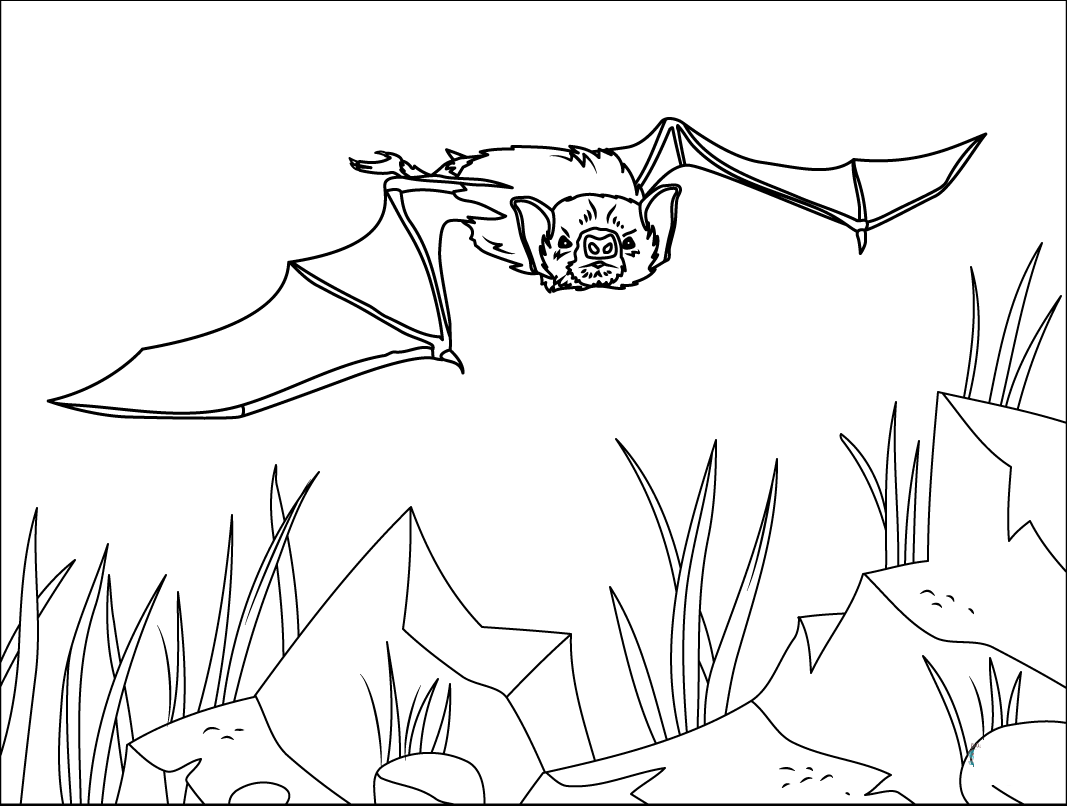 White Winged Vampire Vampire Bat Coloring Page