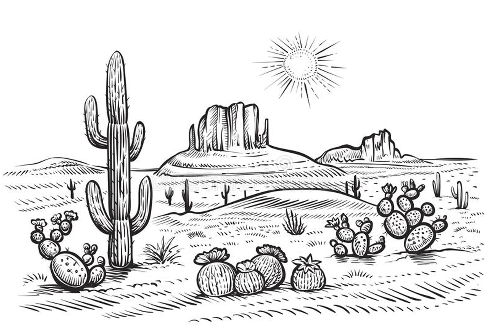 Cactus On Arid Desert