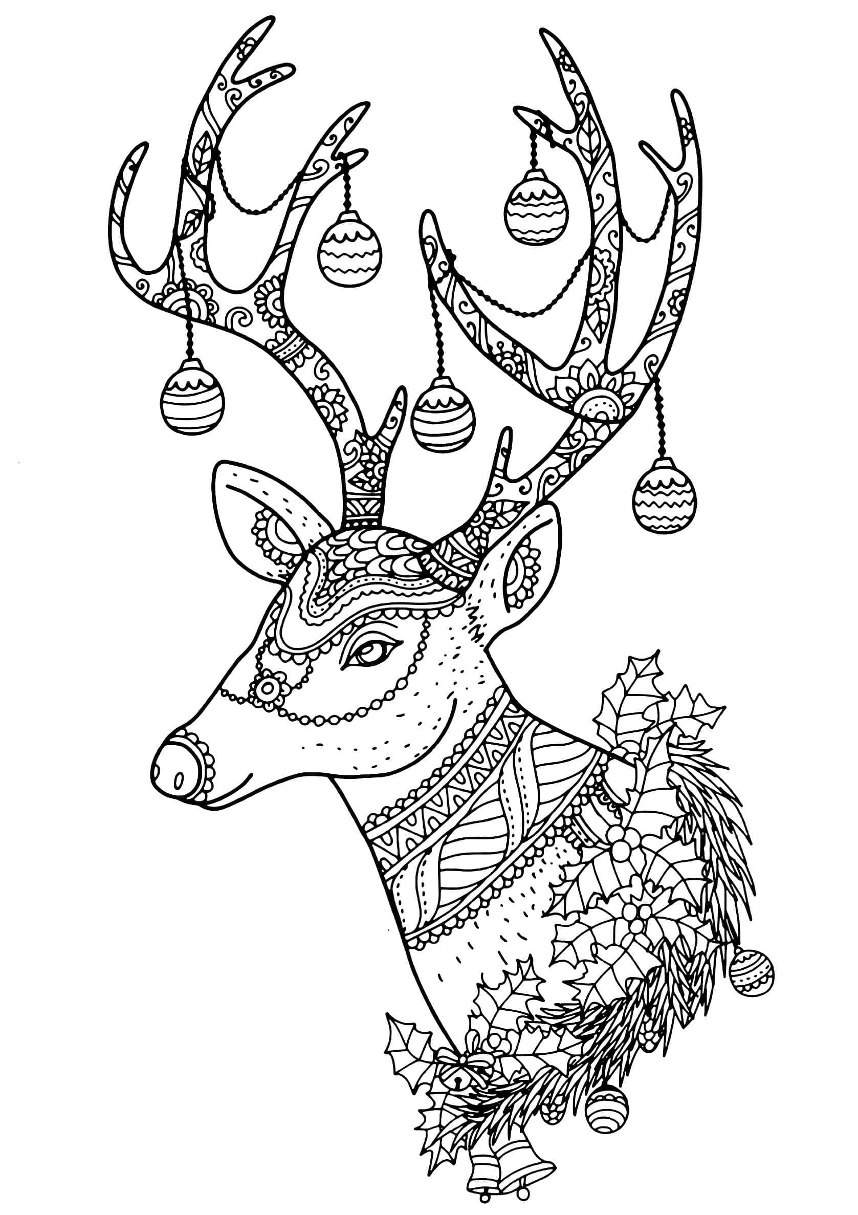 Branched Decorated With Christmas Coloring Page