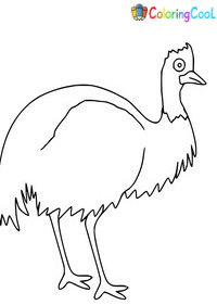 Cassowary Coloring Pages
