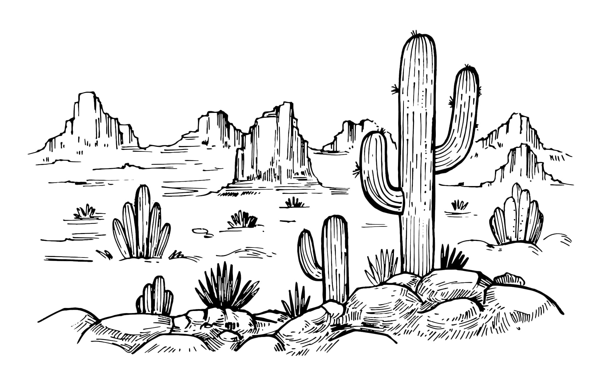 Deserted Area With Cactus And Thorns