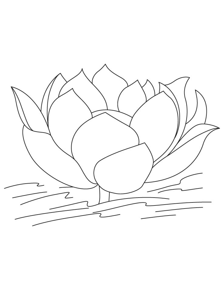 Free Printable Lotus