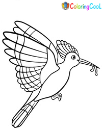 Hoopoe Coloring Pages