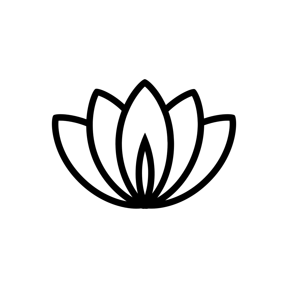 Learning Draw Lotus