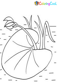 Lily Pad Coloring Pages