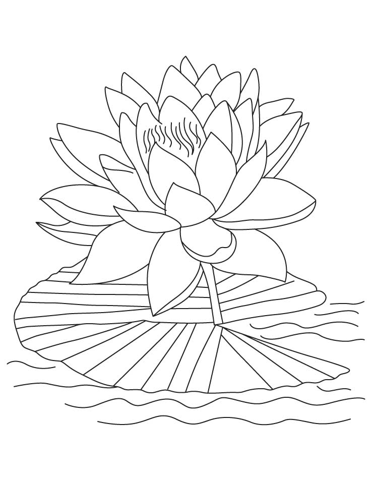 Lotus For Kids To Print Coloring Page