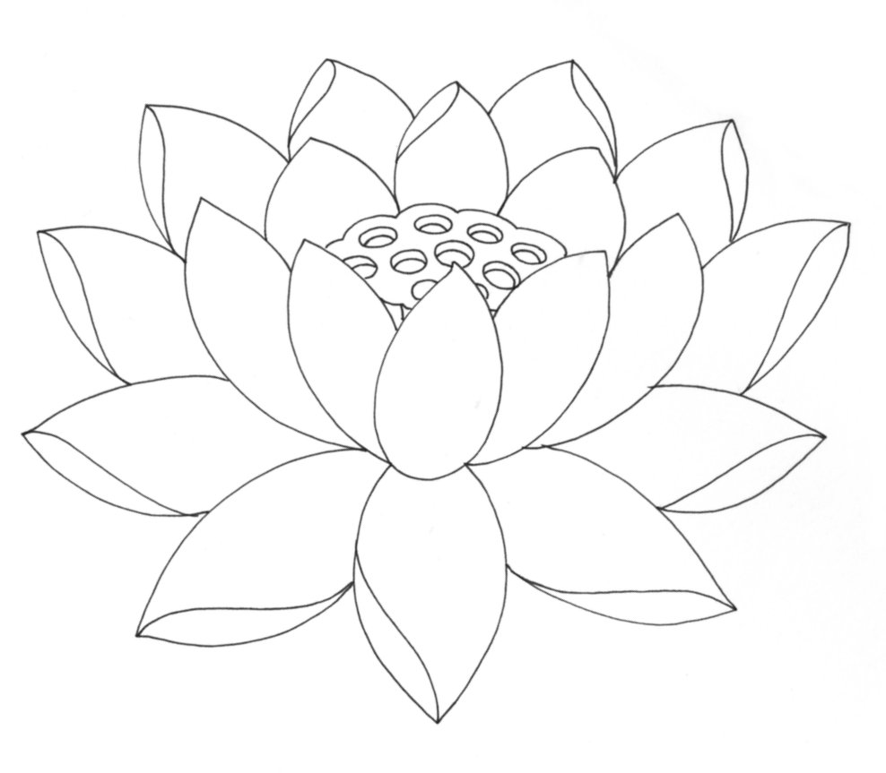 Lotus Flower To Print