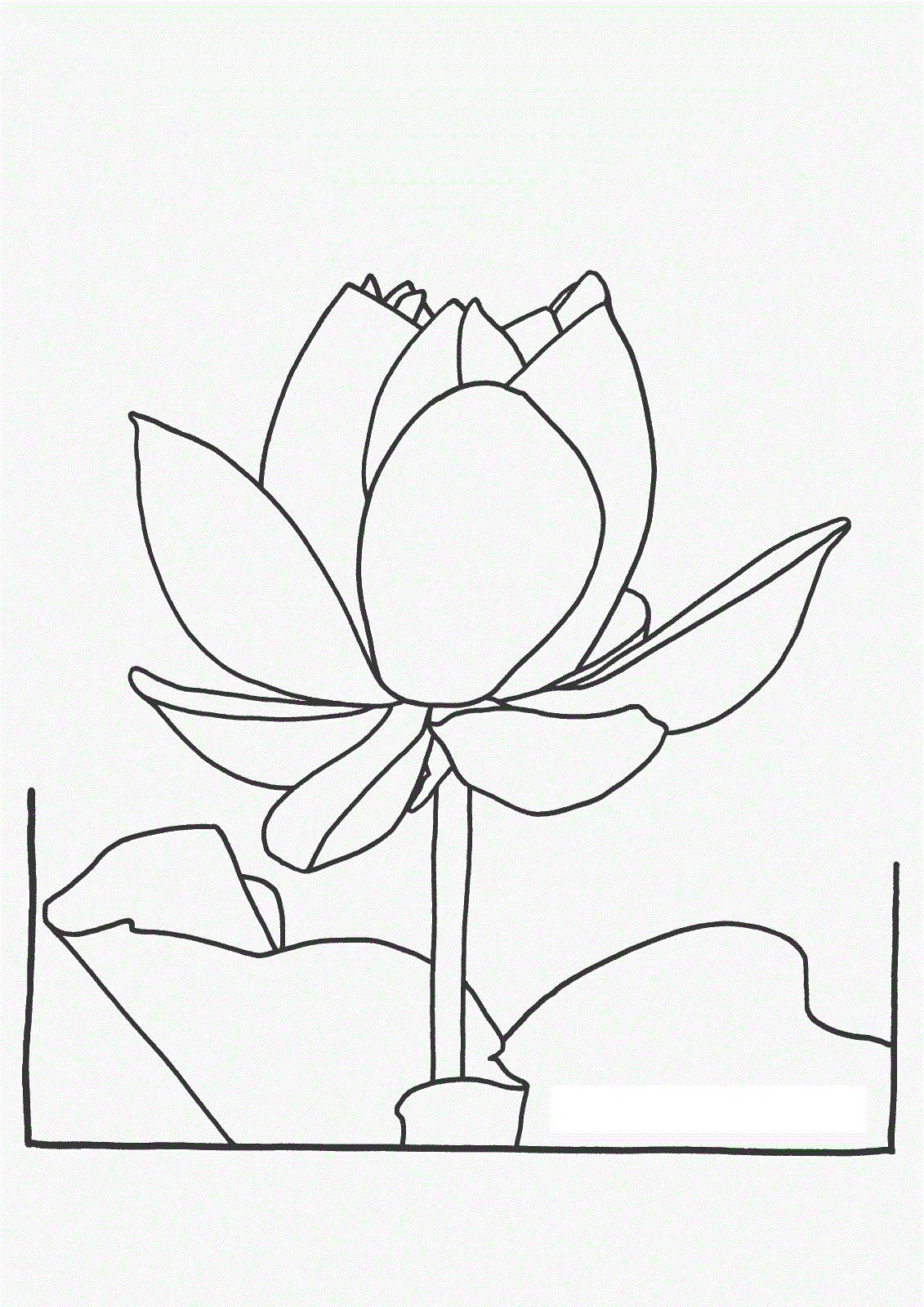 New Lotus Flower For Children Coloring Page