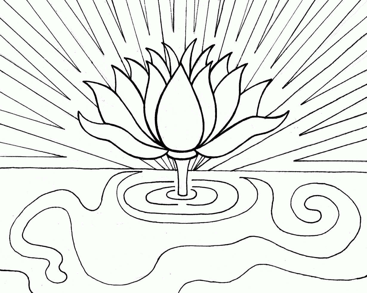 New Lotus Flower