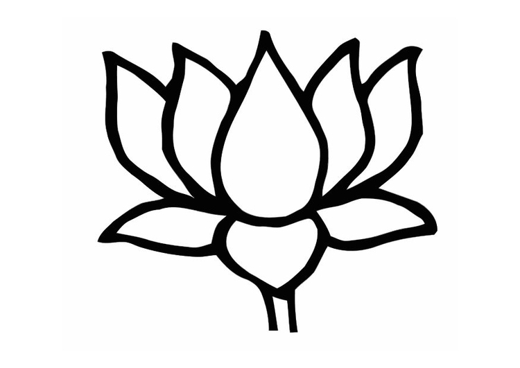 New Lotus Flower Coloring Page