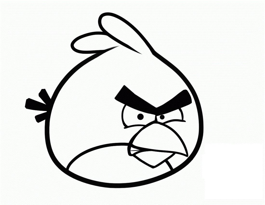 Print Angry Bird For Kids Coloring Pages   Coloring Cool