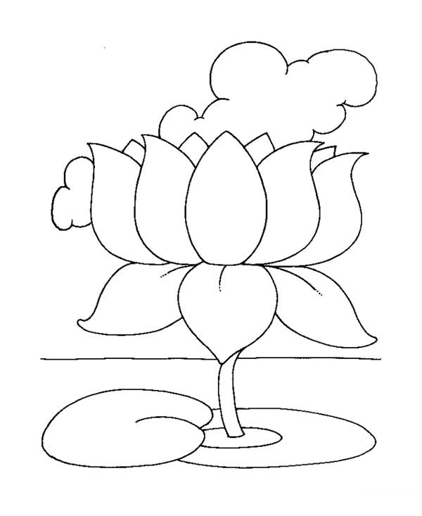 Printable Lotus Flower Coloring Page