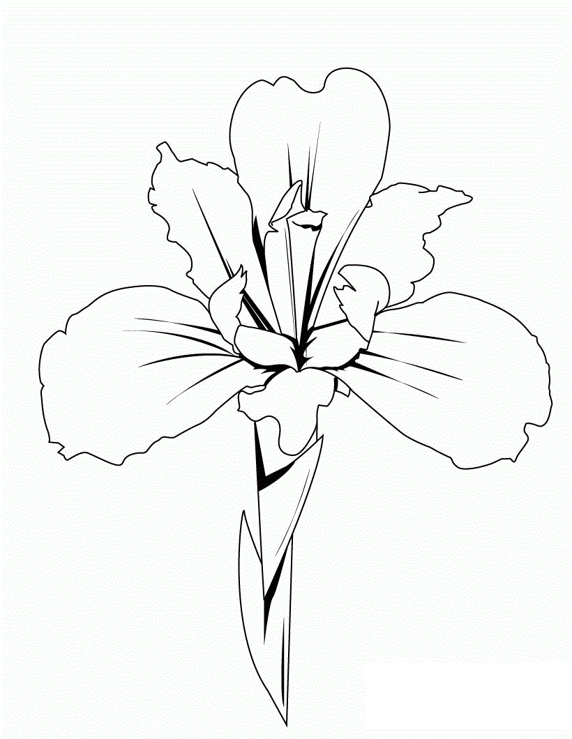 Printable Lotus Flower For kid Coloring Page