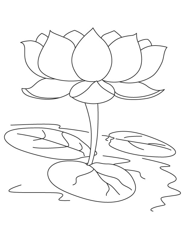 Printable Lotus Flower