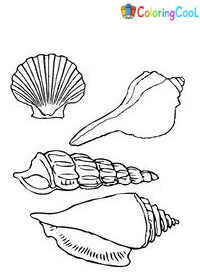 Seashells Coloring Pages