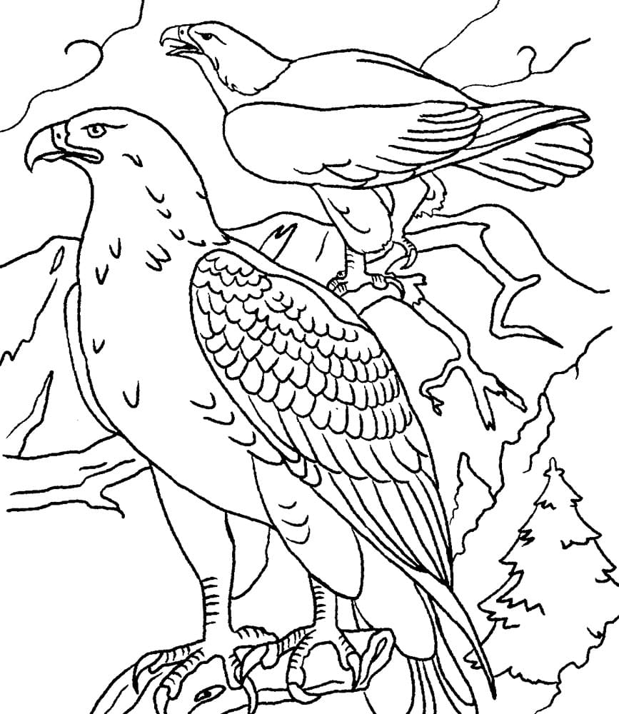 The Bird Of Paradise As Eagle Coloring Page