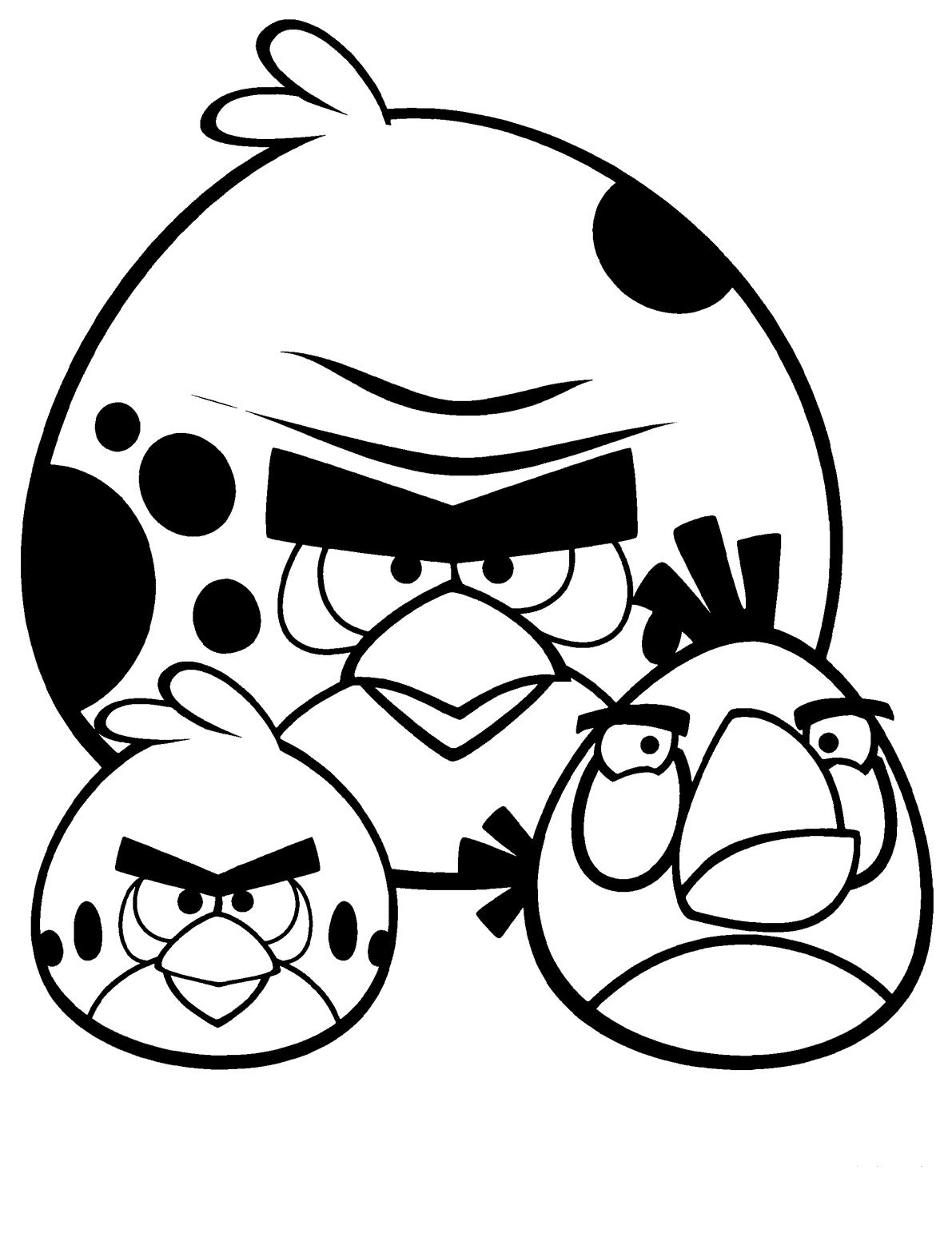 Angry Bird And Two Friends