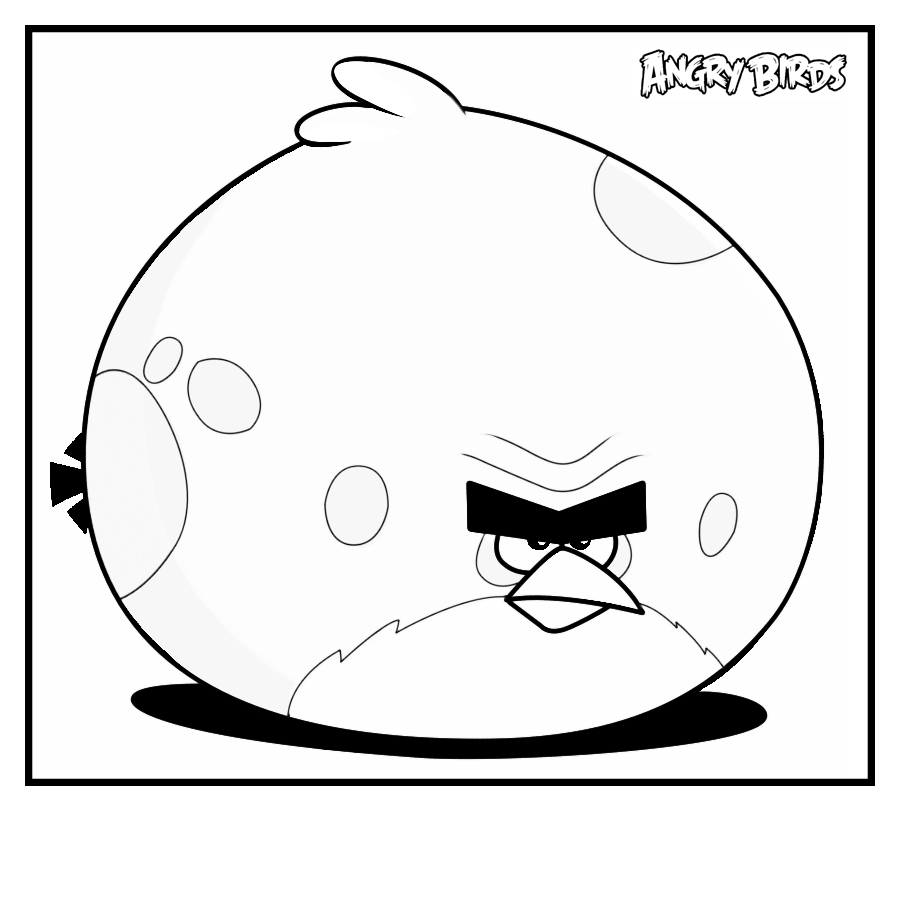Angry Bird With Little Mounth Cool Coloring Pages   Coloring Cool