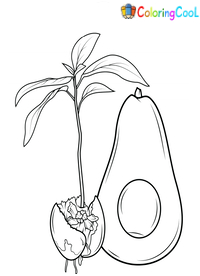 Avocado Coloring Pages
