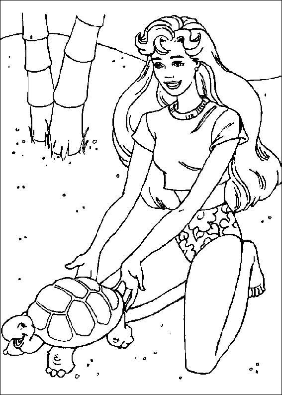 Barbie And Turtle