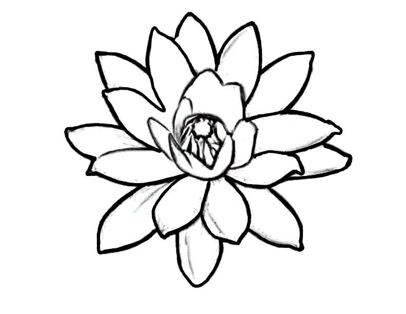 Beautiful Lotus Flower Coloring Page