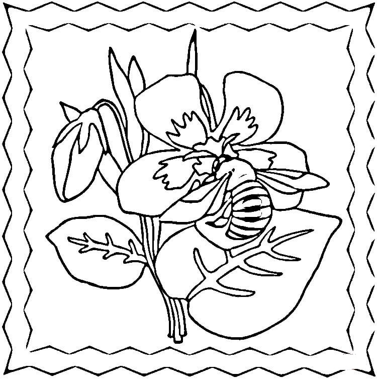 Bee On The Violets Coloring Page