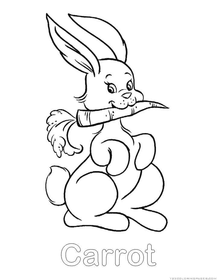 Bunny Eat Carrot