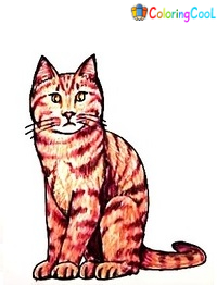 6 Six Simple Steps For Create A Cat Drawing – How To Draw A Cat Coloring Page