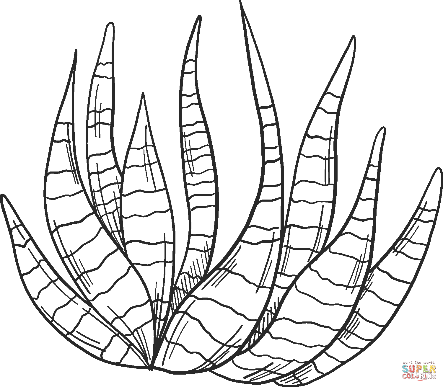 Printable Cactus For Adult