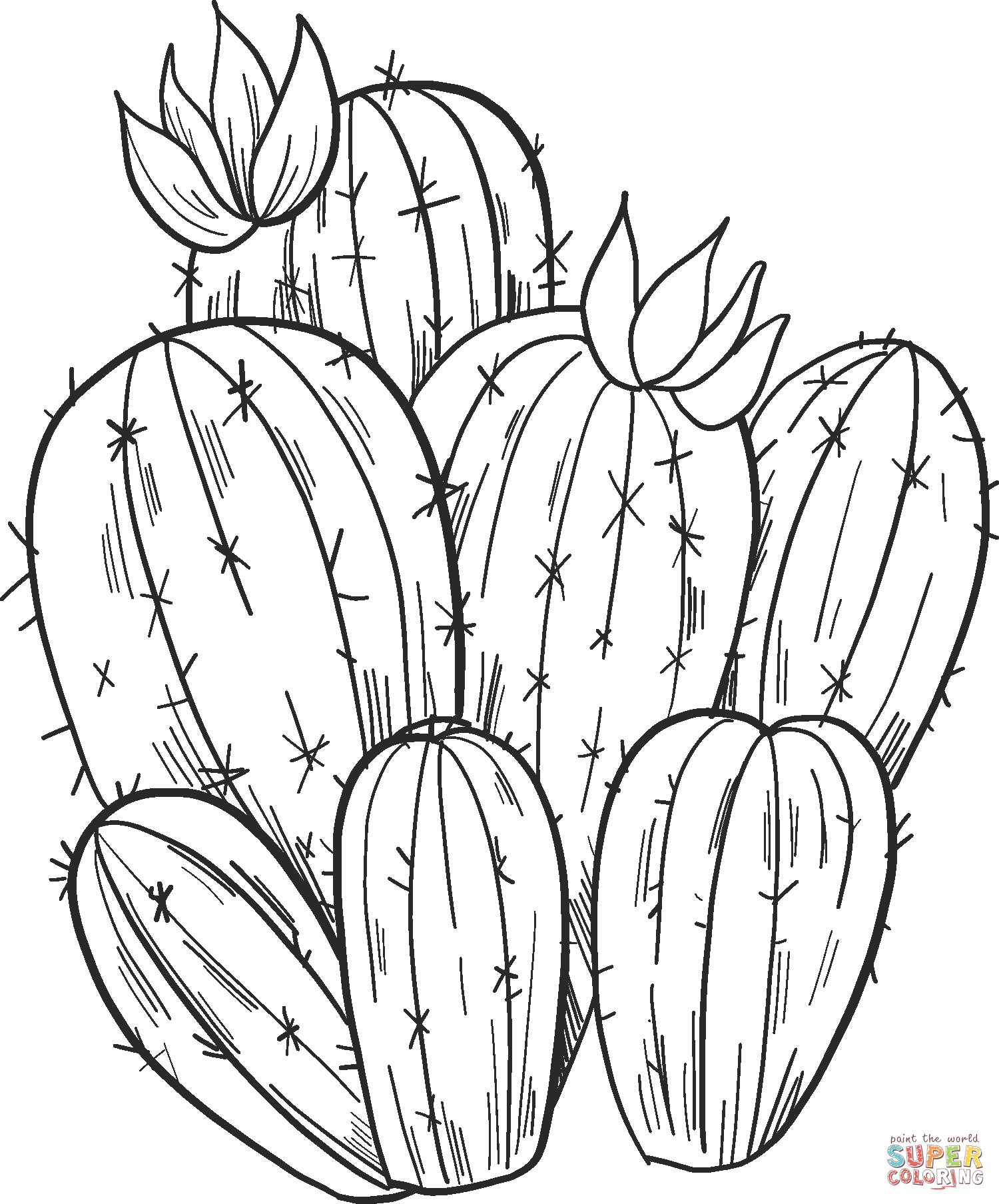 Printable New Cactus For Children